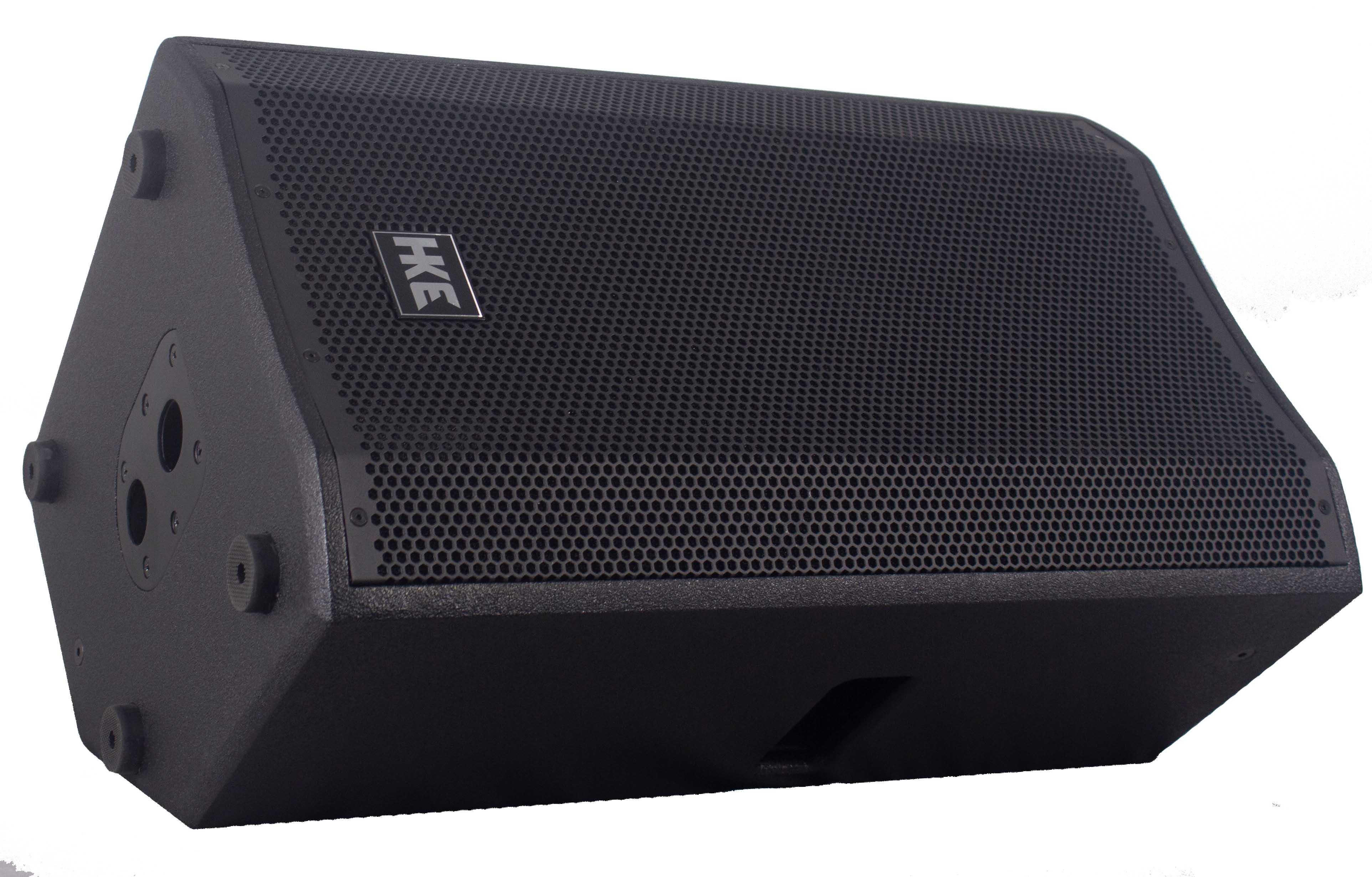 12 inch full range wooden speaker